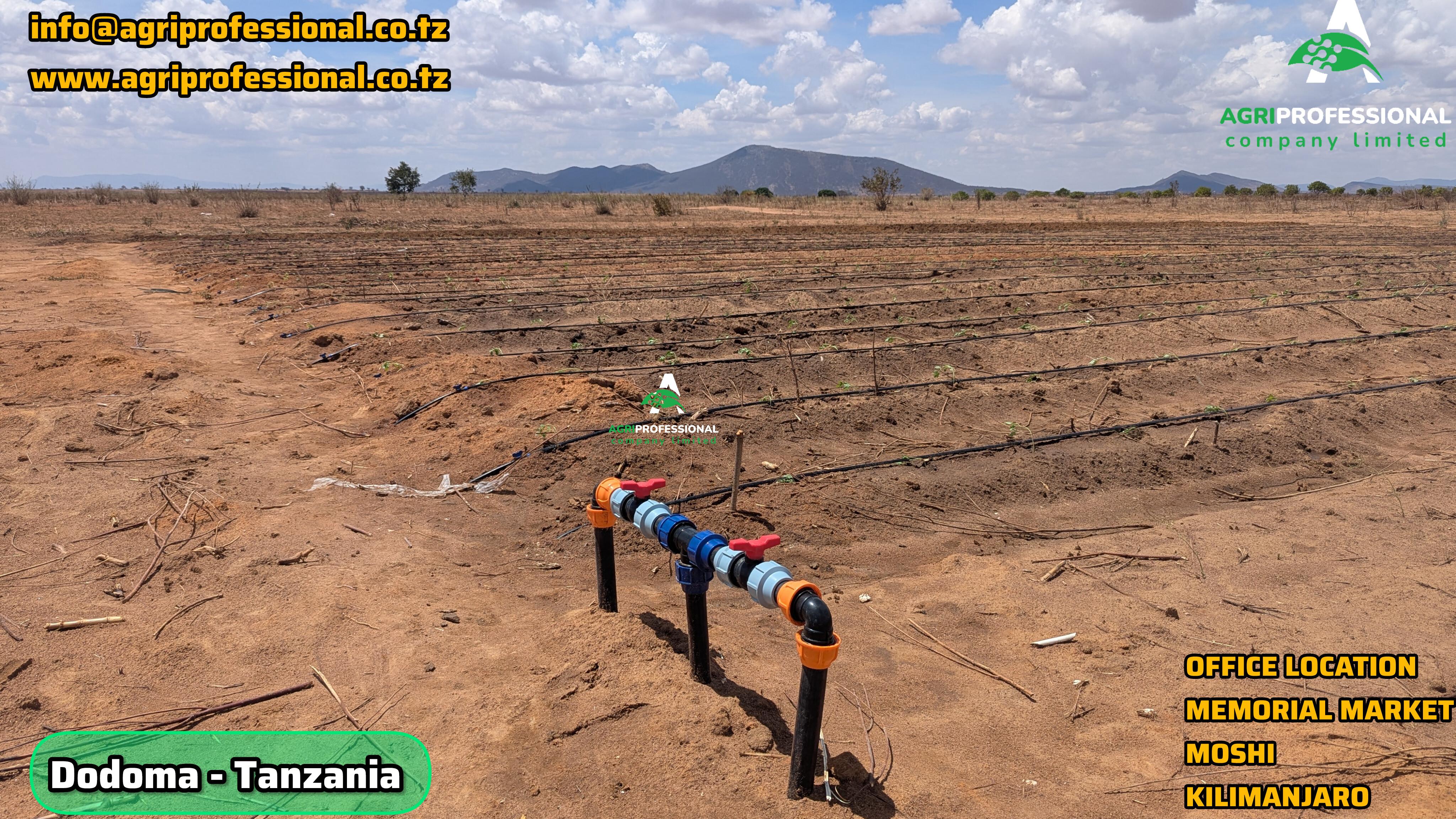 DODOMA - TANZANIA(NDALIBO - O4).jpg